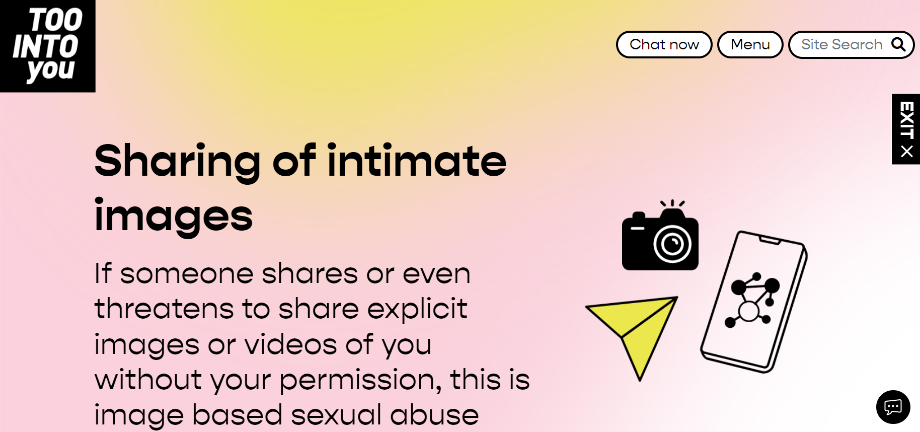 Sharing of intimate images - Too Into You